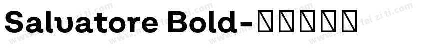 Salvatore Bold字体转换
